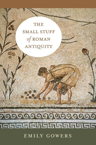 The Small Stuff of Roman Antiquity by Emily Gowers - 9780520413146