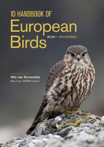ID Handbook of European Birds - 9780691253572 - Picture 1 of 1