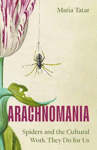 Arachnomania by Maria Tatar - 9780691281025