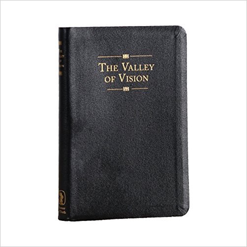 The Valley of Vision - 9780851518213 - Bild 1 von 1
