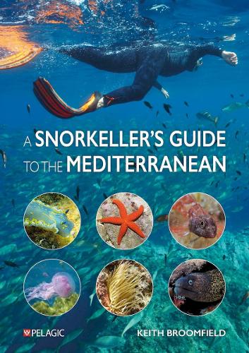 A Snorkellers Guide to the Mediterranean - 9781784274863 - Picture 1 of 1